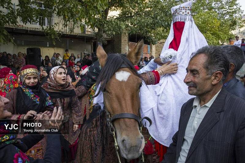 عکس / عروسی عشایر کرمانج در کلات نادر 8