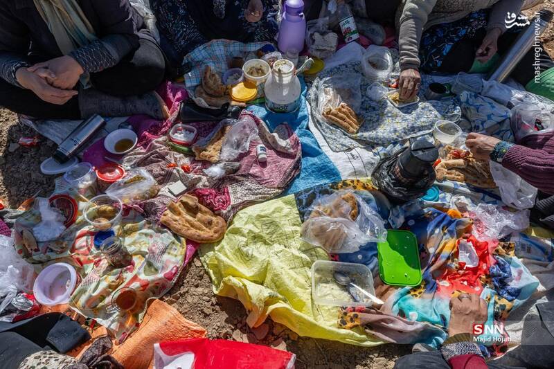 عکس / برداشت سیب زمینی از مزارع فیروزکوه 13