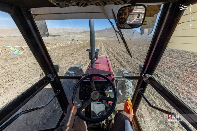 عکس / برداشت سیب زمینی از مزارع فیروزکوه 12