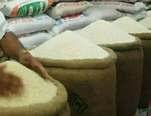 صادرکنندگان برنج هندی به دنبال مشتریان دانه‌درشت