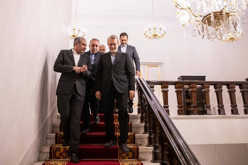 عکس / دیدار وزیر کشور پاکستان با لاریجانی 3