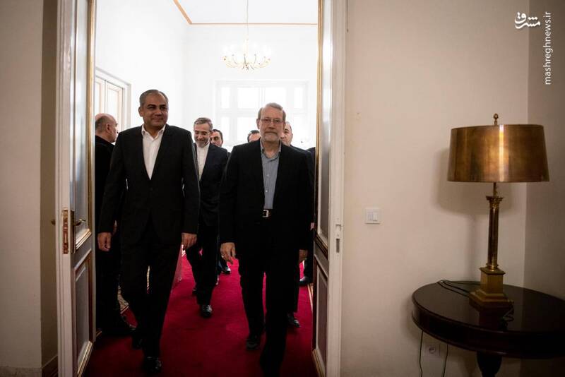 عکس / دیدار وزیر کشور پاکستان با لاریجانی 4