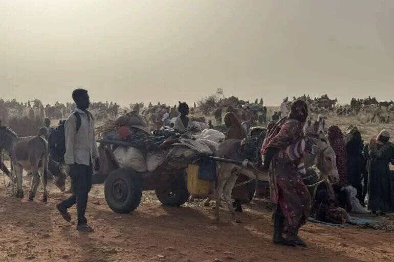 نيروهاي،شهر،واكنش،سودان،سريع،جنايات،ارتش،مشترك،نفر،دارفور،غي ...