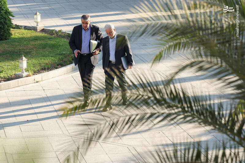 عکس / وزرای دولت در حیاط دولت 14