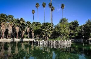 چشمه بلقیس چرام در آتش سوخت + تصویر