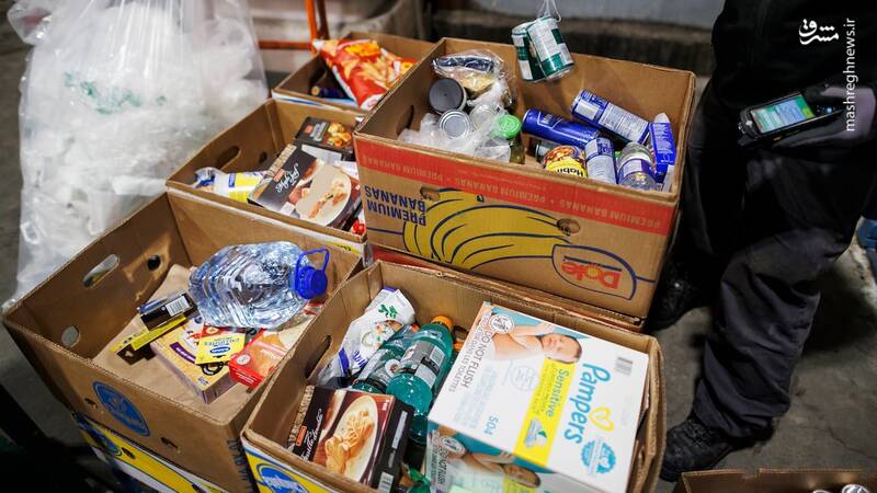 غذا،غذايي،كانادا،زندگي،استون،تأمين،مواد،گزارش