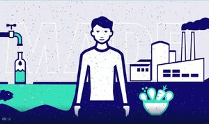 5 عادت ضروری برای سلامتی