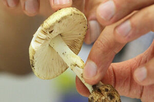 زیبایی خطرناک طبیعت در پاییز و زمستان