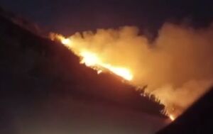 فیلم/ به آتش کشیدن مزارع فلسطینی‌ها در نابلس