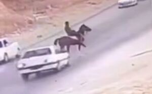 فیلم / تصادف شدید پژو با اسب در کازرون