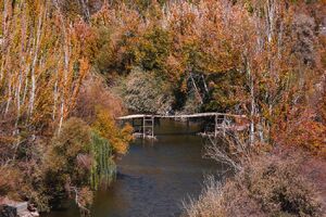 عکس/ رقص رنگها بر بام زاگرس