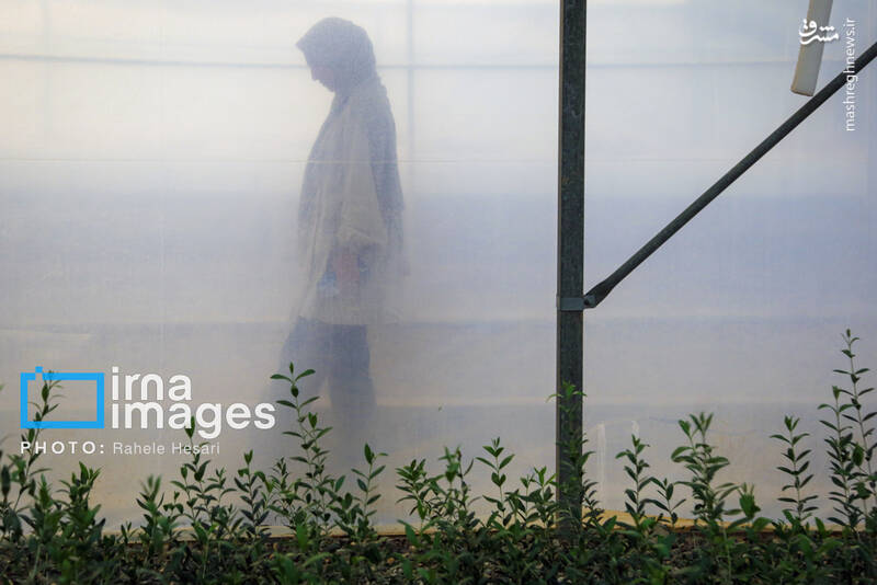 عکس / رزق و روزی در خاک و دریا 21