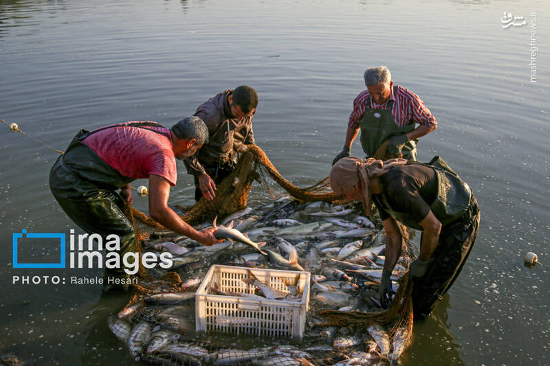 عکس / رزق و روزی در خاک و دریا 26