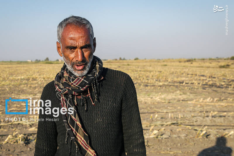 عکس / رزق و روزی در خاک و دریا 24