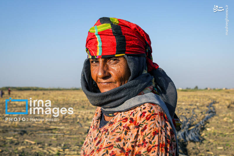 عکس / رزق و روزی در خاک و دریا 22