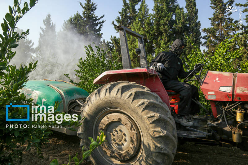 عکس / رزق و روزی در خاک و دریا 17