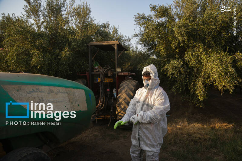 عکس / رزق و روزی در خاک و دریا 16