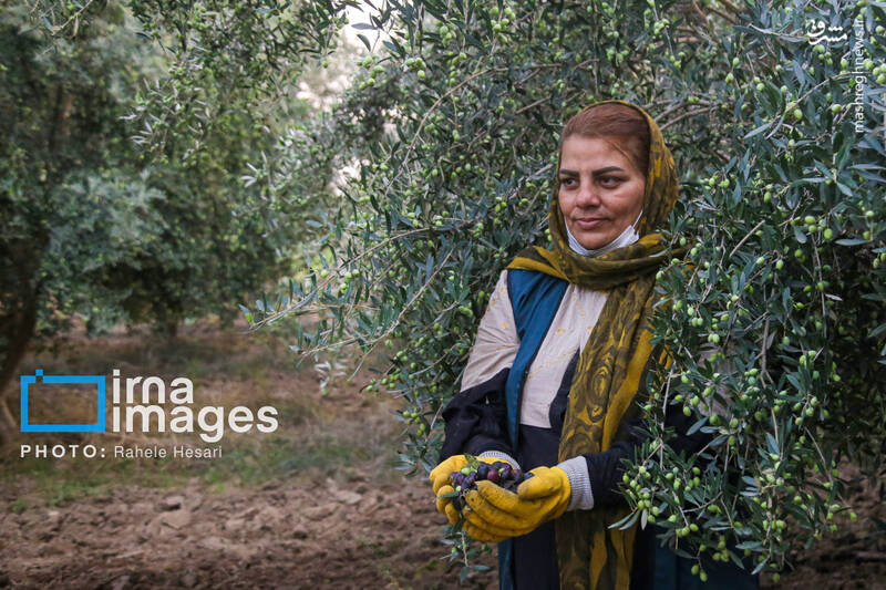 عکس / رزق و روزی در خاک و دریا 15