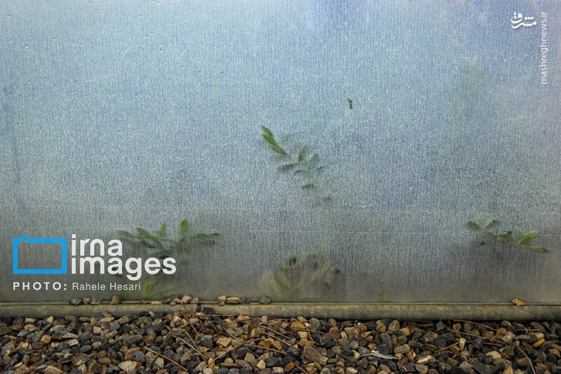 عکس / رزق و روزی در خاک و دریا 14