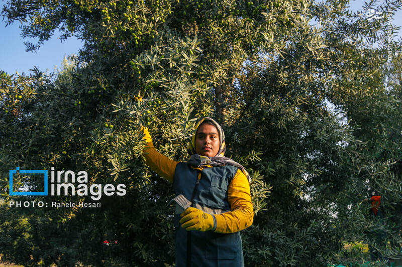 عکس / رزق و روزی در خاک و دریا 11