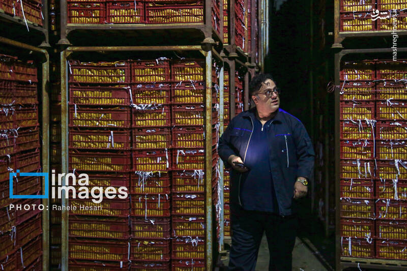 عکس / رزق و روزی در خاک و دریا 10