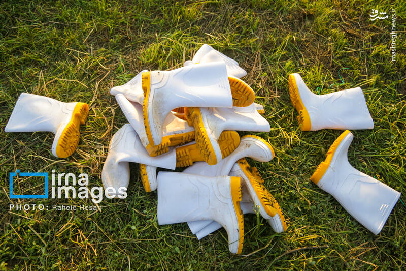 عکس / رزق و روزی در خاک و دریا 6