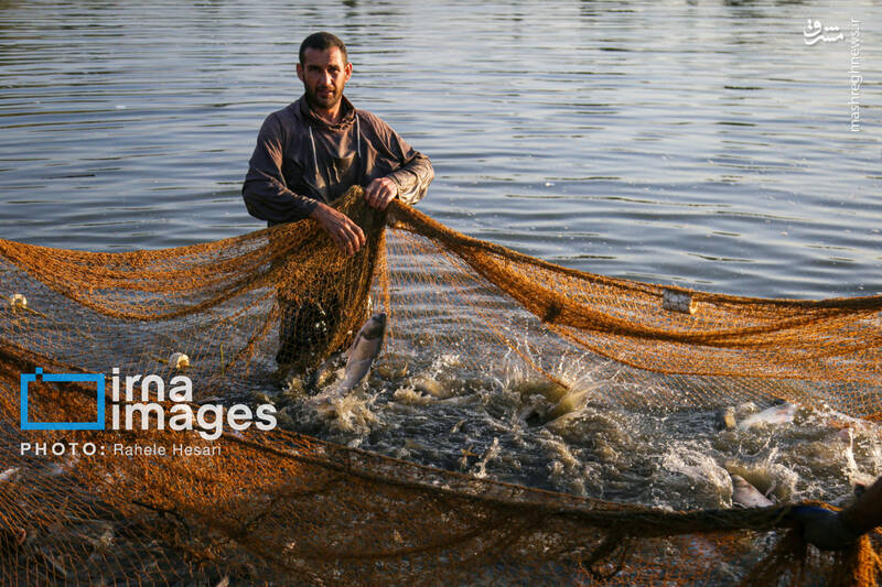 عکس / رزق و روزی در خاک و دریا 4