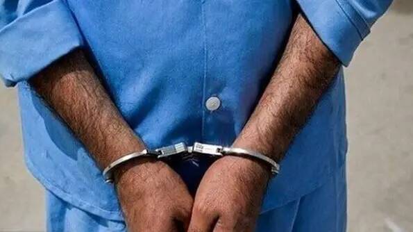 سرقت،باند،عقاب،سردسته،سرقتي،خلاف،دستگير،داخل،آلمان،تشكيل،دست ...