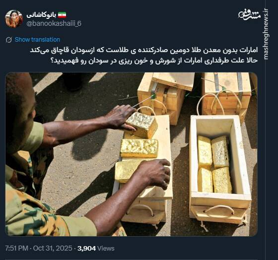 علت طرفداری امارات از شورش و خون ریزی در سودان