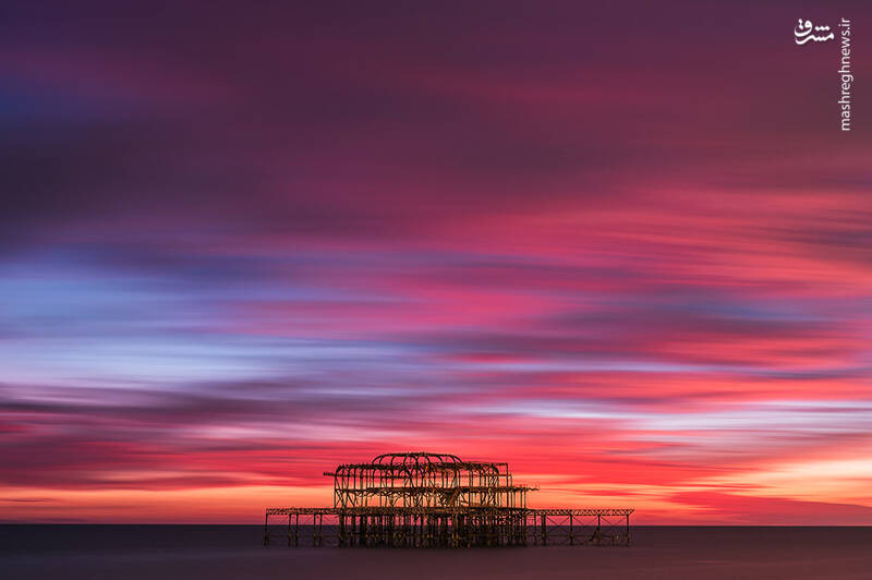 شکار لحظههای ناب طبیعت توسط کاربران شبکههای اجتماعی 49