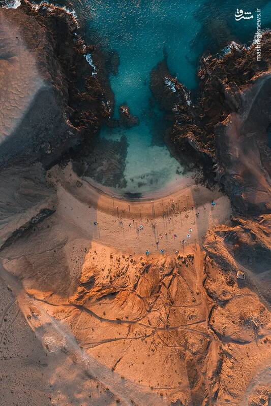 شکار لحظههای ناب طبیعت توسط کاربران شبکههای اجتماعی 41