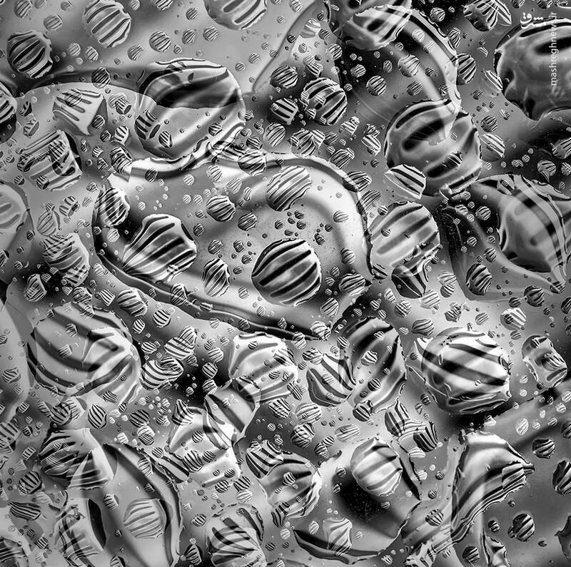 شکار لحظههای ناب طبیعت توسط کاربران شبکههای اجتماعی 28