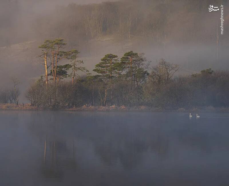 شکار لحظههای ناب طبیعت توسط کاربران شبکههای اجتماعی 25