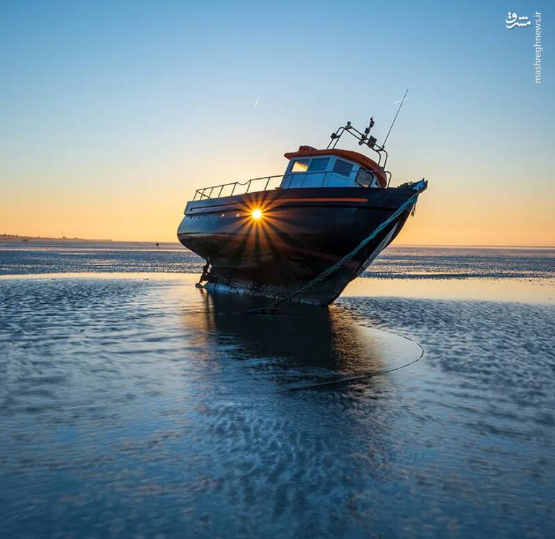 شکار لحظههای ناب طبیعت توسط کاربران شبکههای اجتماعی 17