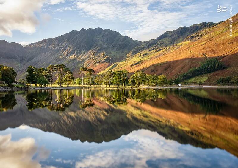 شکار لحظههای ناب طبیعت توسط کاربران شبکههای اجتماعی 13