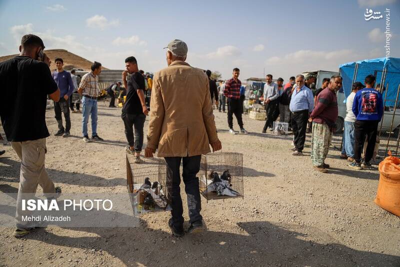 عکس / بازار پرنده‌فروش‌های بجنورد 21