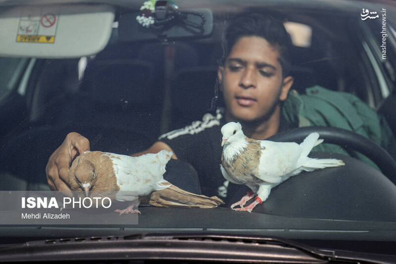 عکس / بازار پرنده‌فروش‌های بجنورد 17