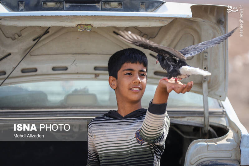 عکس / بازار پرنده‌فروش‌های بجنورد 13