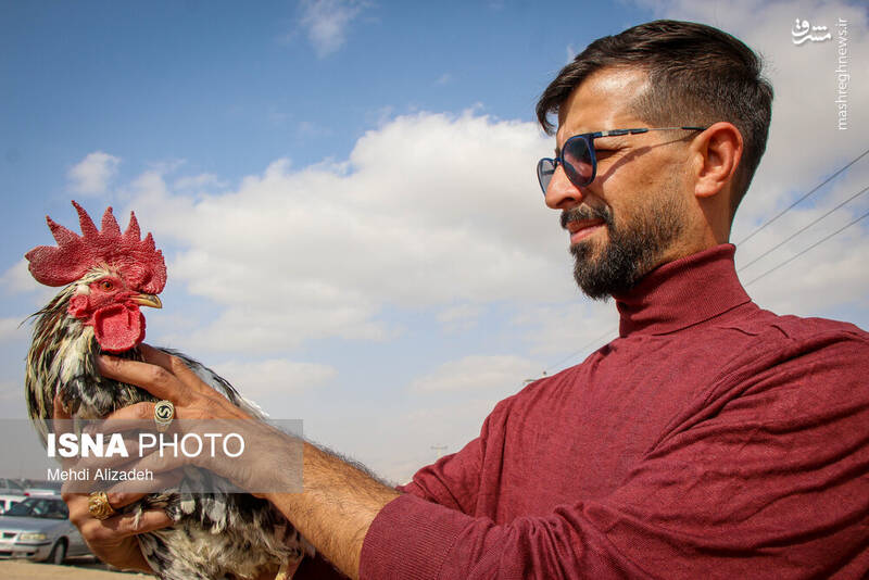 عکس / بازار پرنده‌فروش‌های بجنورد 8