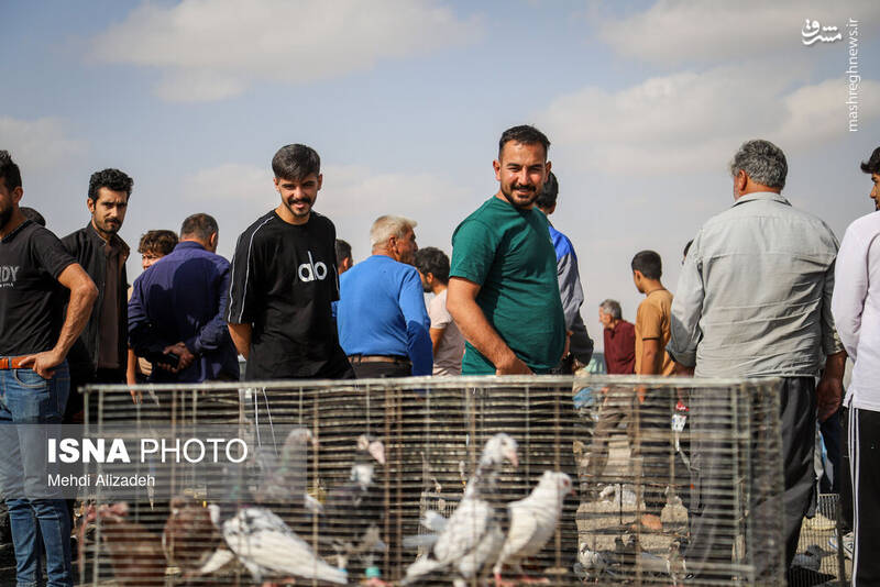 عکس / بازار پرنده‌فروش‌های بجنورد 6