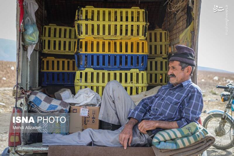 عکس / بازار پرندهفروشهای بجنورد 5