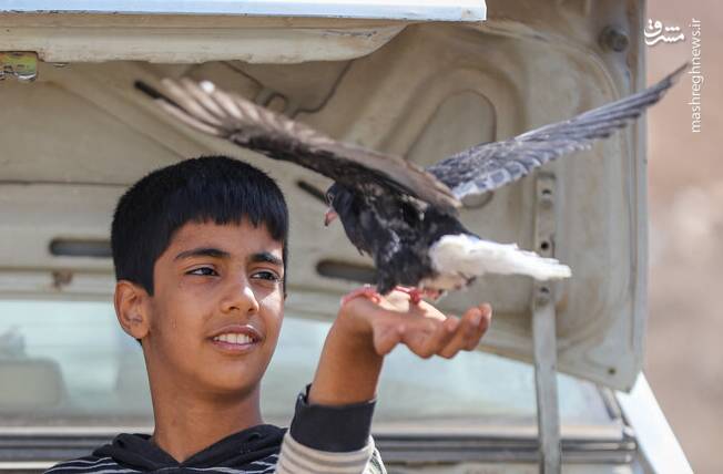 بجنورد،صداي،بازار،شهر