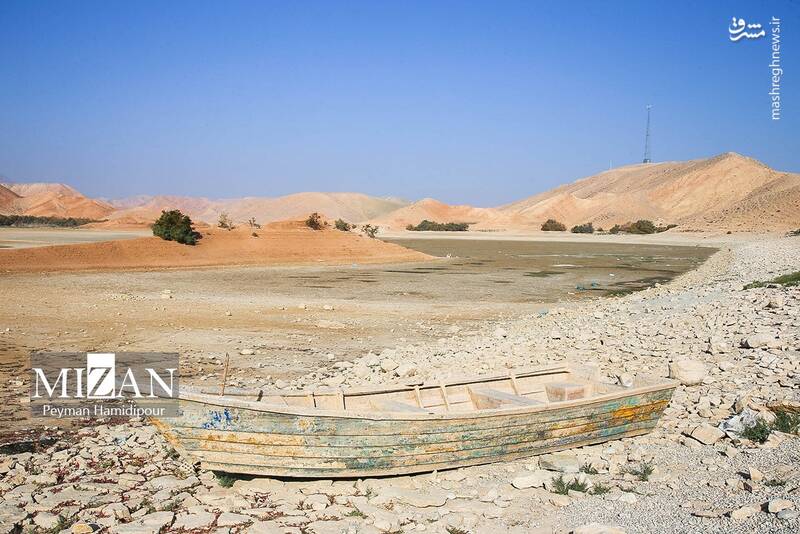 عکس / خشکسالی بند عبدل آباد و مرگ هزاران ماهی 31