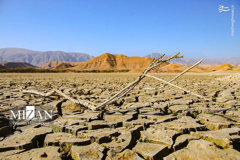 عکس / خشکسالی بند عبدل آباد و مرگ هزاران ماهی 27