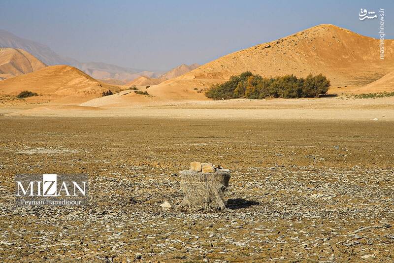 عکس / خشکسالی بند عبدل آباد و مرگ هزاران ماهی 23