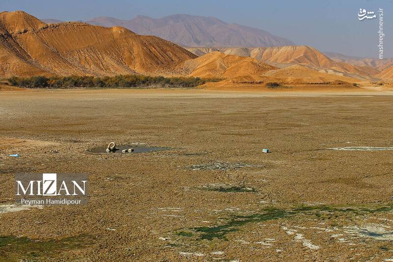 عکس / خشکسالی بند عبدل آباد و مرگ هزاران ماهی 21