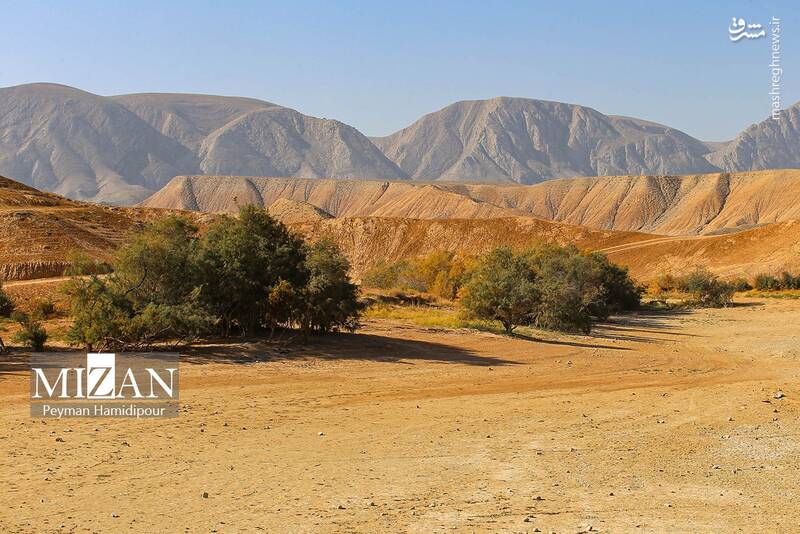 عکس / خشکسالی بند عبدل آباد و مرگ هزاران ماهی 20