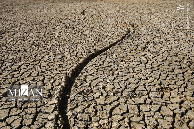 عکس / خشکسالی بند عبدل آباد و مرگ هزاران ماهی 15