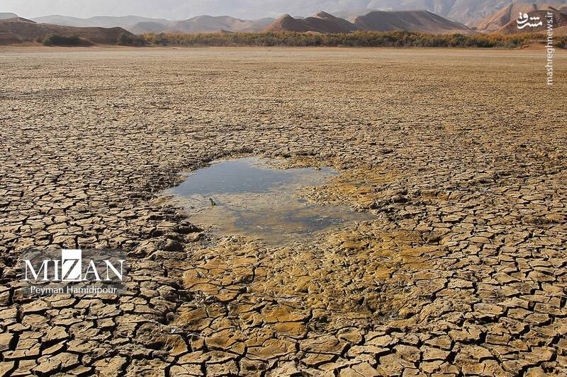 عکس / خشکسالی بند عبدل آباد و مرگ هزاران ماهی 13