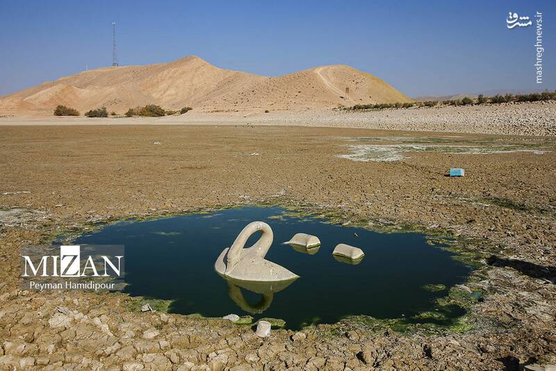 عکس / خشکسالی بند عبدل آباد و مرگ هزاران ماهی 11